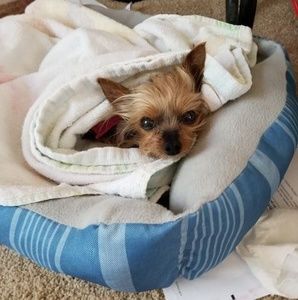 Meet your Posher, Donna